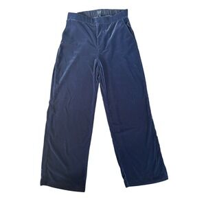 GAP NWT (MSRP $79.95) Velour/Velvet Dress Pants Navy, Wide Leg, Woman SZ 10